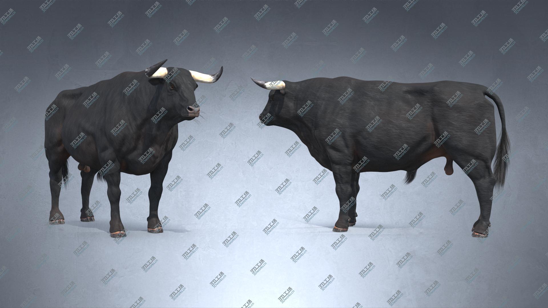 images/goods_img/20210319/Bull PBR(1) model/1.jpg